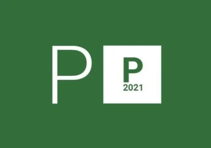 MS Project Professional 2021